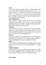 Referāts 'Etruski', 13.