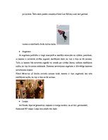 Konspekts 'Skata punkta funkcijas literārā vēstījumā un vizuālajos vēstījumos', 4.