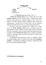 Diplomdarbs 'Audzēkņu mācību sasniegumu vērtēšana ķīmijā', 39.