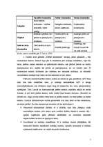 Referāts 'Ēnu ekonomika, tās vieta tautsaimniecībā', 5.