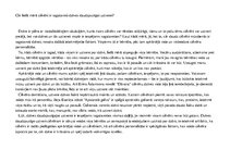 Eseja 'Argumentētā eseja par dzīves uztveri', 1.