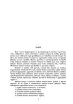 Referāts 'Dzintars', 3.