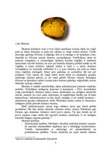 Referāts 'Dzintars', 8.