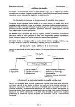 Konspekts 'Dārzkopība', 3.