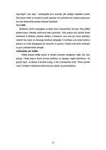 Prakses atskaite 'Pirmsdiploma sociālpedagoģiskās prakses dienasgrāmata', 22.