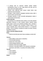 Prakses atskaite 'Pirmsdiploma sociālpedagoģiskās prakses dienasgrāmata', 26.