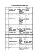 Prakses atskaite 'Pirmsdiploma sociālpedagoģiskās prakses dienasgrāmata', 29.