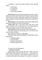 Referāts 'Uzņēmuma SIA “N” finansiālās darbības analīze', 9.