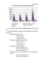 Referāts 'Uzņēmuma SIA “N” finansiālās darbības analīze', 17.