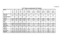 Referāts 'Uzņēmuma SIA “N” finansiālās darbības analīze', 19.