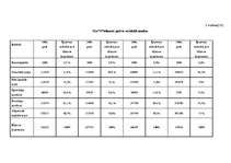 Referāts 'Uzņēmuma SIA “N” finansiālās darbības analīze', 28.