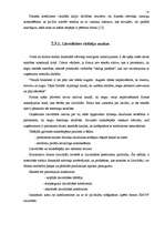 Referāts 'Uzņēmuma SIA “N” finansiālās darbības analīze', 31.