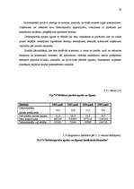 Referāts 'Uzņēmuma SIA “N” finansiālās darbības analīze', 58.