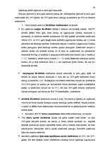Referāts 'Uzņēmuma SIA “N” finansiālās darbības analīze', 66.