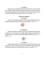 Konspekts 'Mejoze', 6.