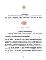 Konspekts 'Mejoze', 7.