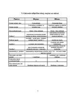 Konspekts 'Mejoze', 8.