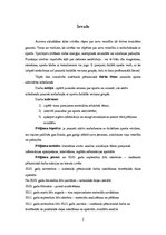 Referāts 'Jauniešu sporta aktivitātes mūsdienās', 5.