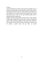 Referāts 'Jauniešu sporta aktivitātes mūsdienās', 11.