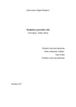 Referāts 'Smēķēšana pusaudžu vidū', 1.