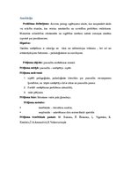 Referāts 'Smēķēšana pusaudžu vidū', 4.