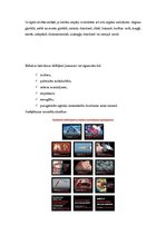 Referāts 'Smēķēšana pusaudžu vidū', 13.