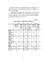 Diplomdarbs 'Starptautisko kravu pārvadājumu aktuālās problēmas un attīstības perspektīvas', 17.