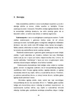 Diplomdarbs 'Starptautisko kravu pārvadājumu aktuālās problēmas un attīstības perspektīvas', 48.
