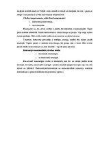 Referāts 'Temperaments', 5.