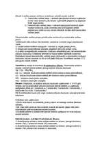 Konspekts 'Globālā loģistika. Eksāmena jautājumi', 6.