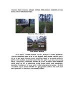 Referāts 'Potenciālais tūristu piesaistes objekts,kas netiek izmantots tūrismā', 2.