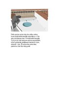 Prezentācija 'Delfi', 4.