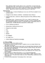 Konspekts 'Filosofijas vēsture', 3.