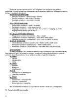 Konspekts 'Filosofijas vēsture', 11.