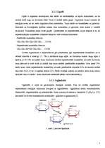 Referāts 'Piena ietekme uz cilvēka organismu', 7.