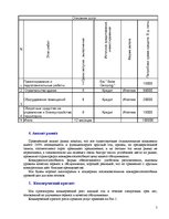 Biznesa plāns 'OOO "Solar Camping" бизнес план', 5.