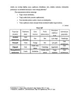 Referāts 'Konkurences analīze kolektīvās iepirkšanās tirgū', 9.