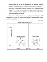 Referāts 'Konkurences analīze kolektīvās iepirkšanās tirgū', 15.