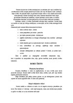 Konspekts 'Roku žesti', 1.