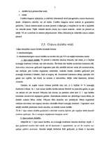 Referāts 'Cukura diabēts', 6.