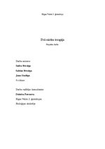 Referāts 'Dzīvnieku terapijas', 1.