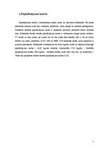 Referāts 'Paplašinājuma kartes', 5.