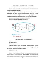 Referāts 'Emulgatori', 13.