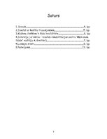 Referāts 'Cilvēki ar īpašām vajadzībām', 3.