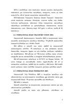 Konspekts 'Autotransporta starptautiski tiesiskais regulējums un problēmas', 6.