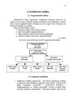 Biznesa plāns 'Gaujienas muiža', 10.