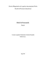 Referāts 'Hôtel de Promenade', 1.