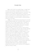 Referāts 'Kuņģa čūla', 2.