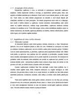 Referāts 'Uzņēmējdarbības atrašanās vieta', 12.