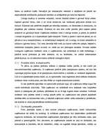 Referāts 'Uzņēmējdarbības atrašanās vieta', 21.